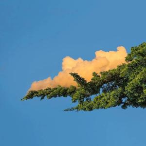 久在线传媒观看
